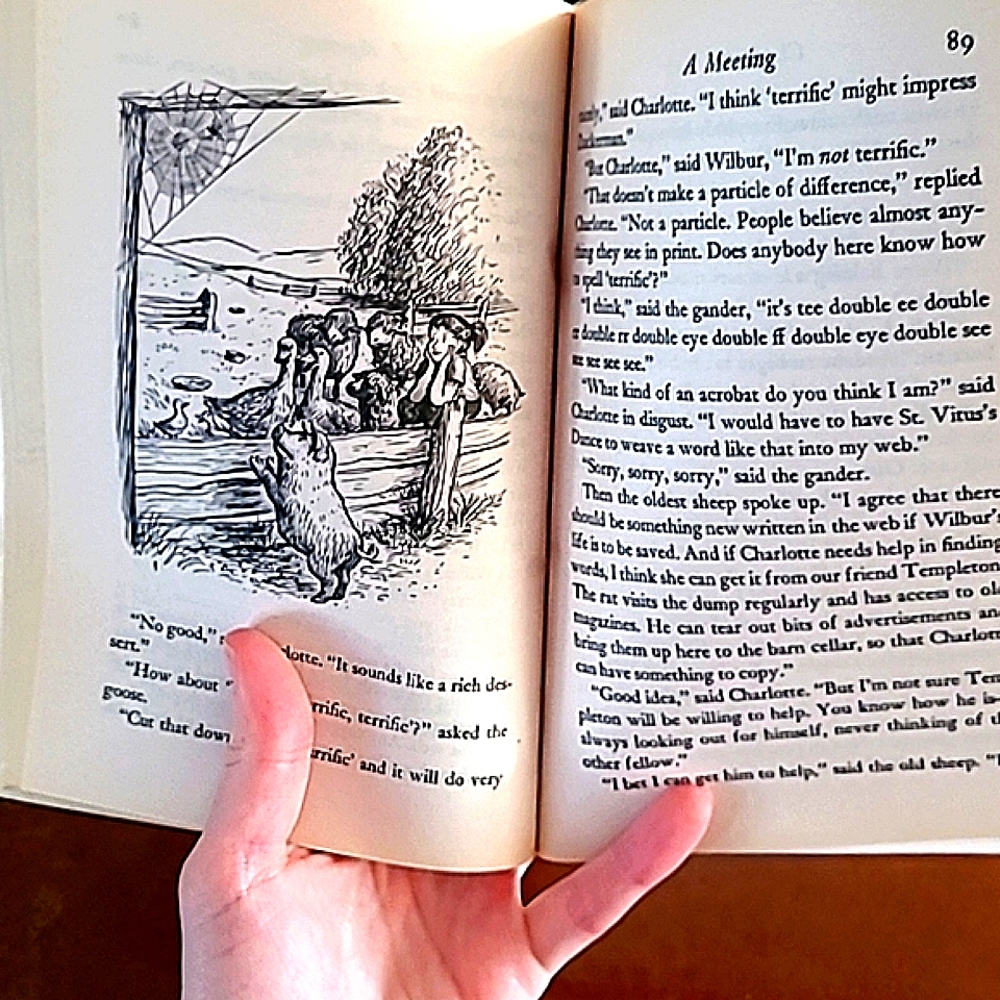 📚 Charlotte's Web  ♡ U Must Bundle! ♡ for by E.B. White Book - Picture 3 of 3